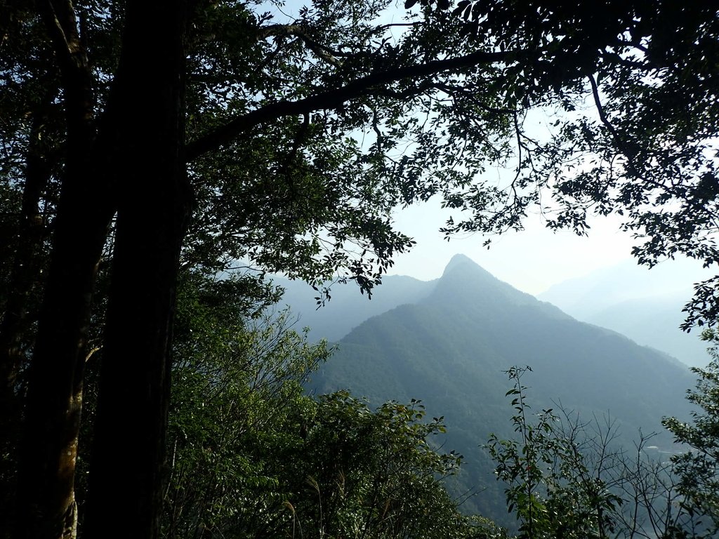 P3217532.JPG - 谷關七雄  白毛山  01