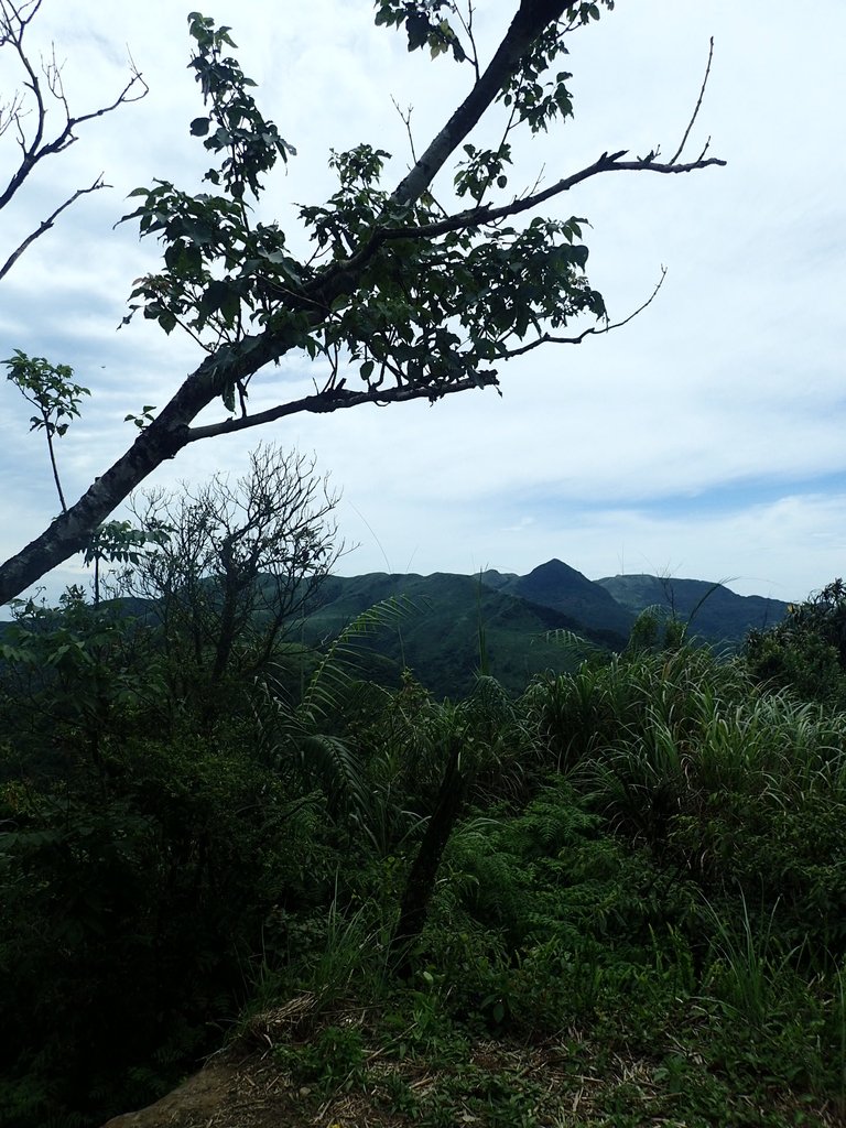 P6090337.JPG - 瑞芳  三貂嶺山  三貂大崙