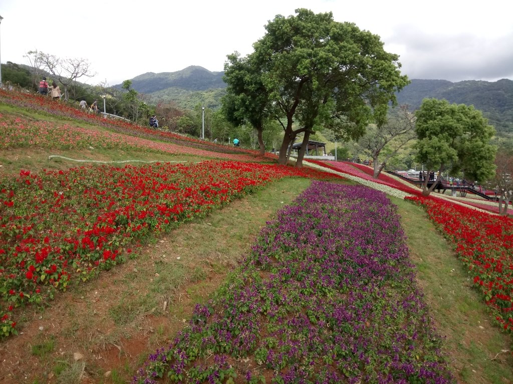 DSC_5453.JPG - 北投社  三層崎公園