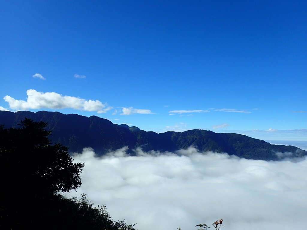 PC055893.JPG - 鹿谷  溪頭  南鳳凰山