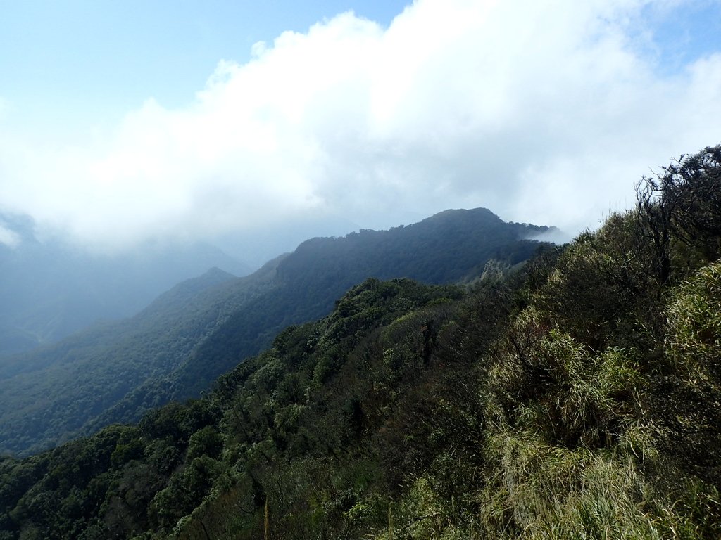 P2034870.JPG - 南庄  加里山