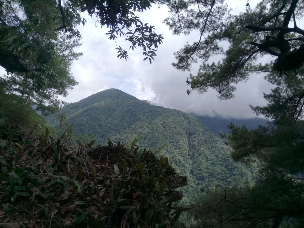 DSC_0006.JPG - 谷關七雄之  馬崙山  (下)