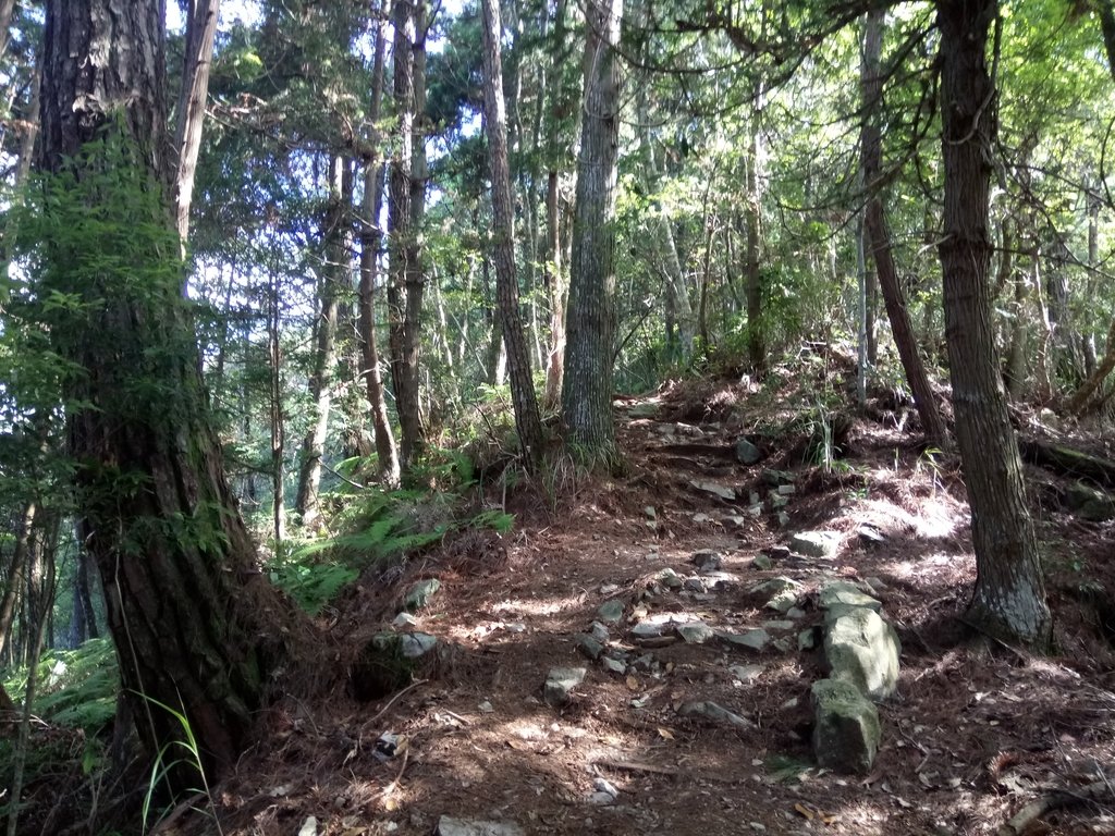 DSC_9906.JPG - 谷關七雄之  馬崙山  (下)