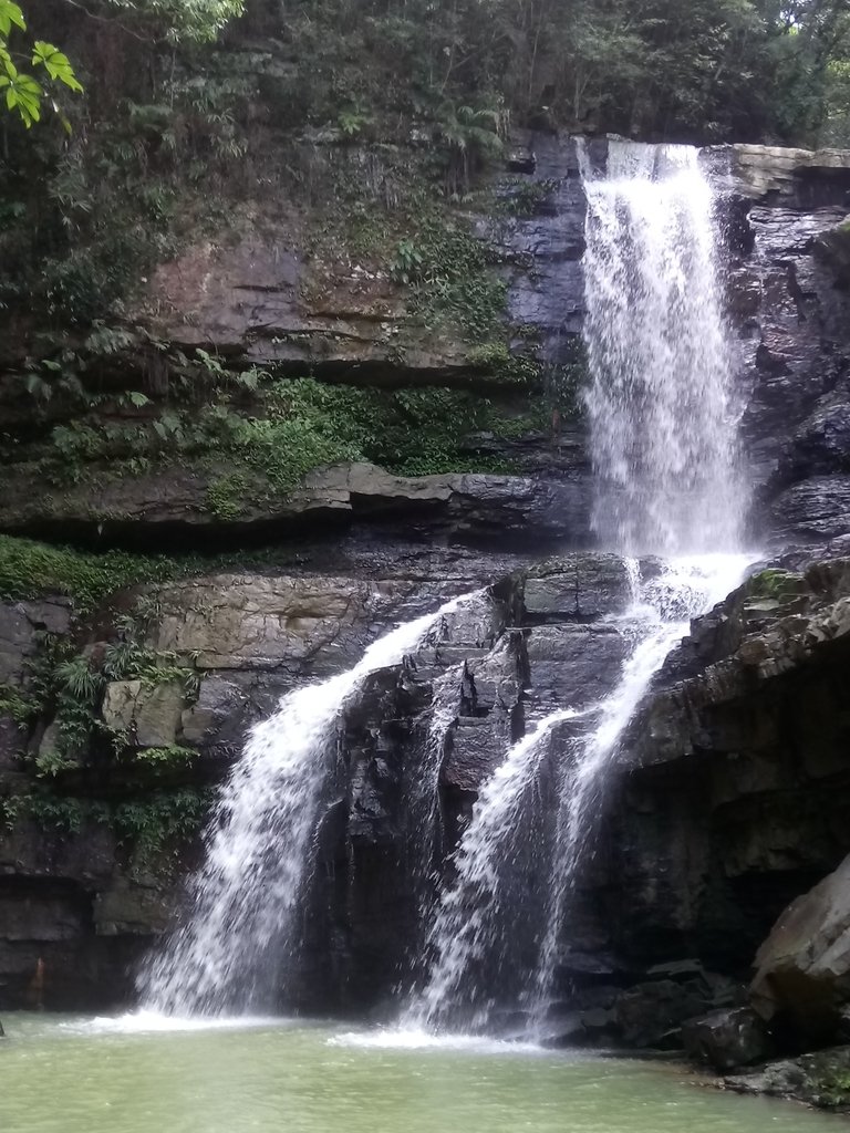 DSC_2646.JPG - 魚池  澀水森林步道  水上瀑布