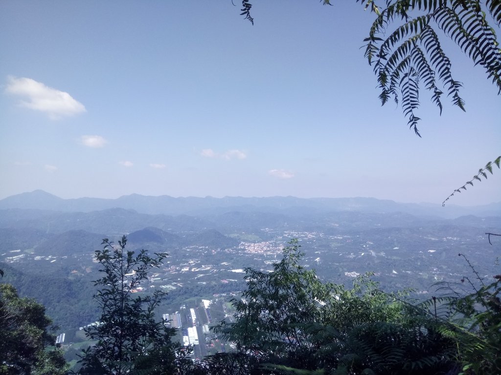 DSC_4038.JPG - 魚池  過坑山登山步道