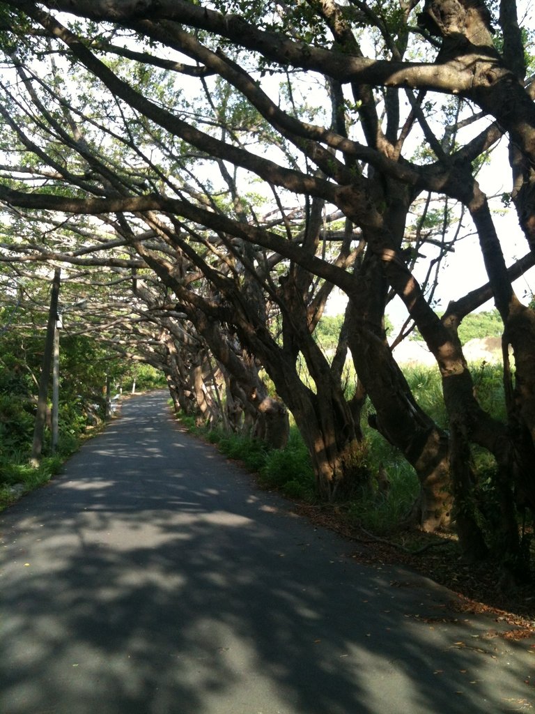 IMG_1470.jpg - 基隆  潮境公園ˊ周邊之  晨遊