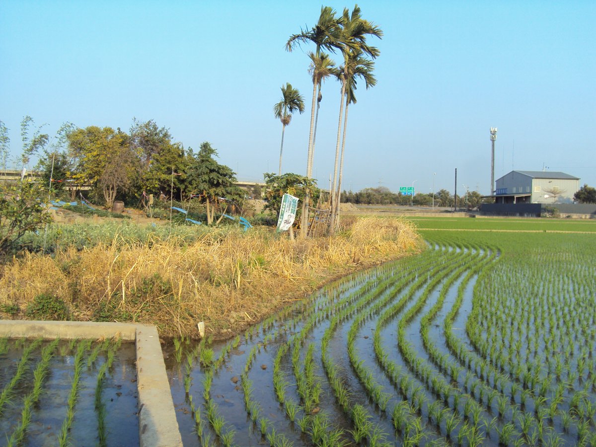 DSC04025.JPG - 快官  承德郎陳文德墓