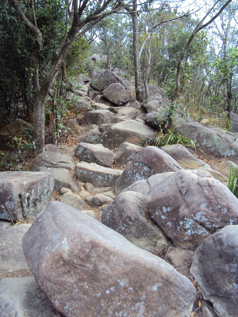 DSC06688.JPG - 內湖  金面山步道