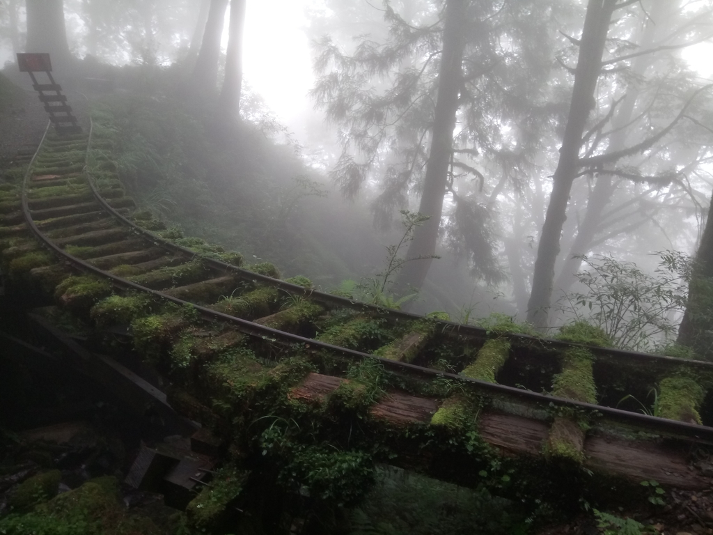 DSC_5618.JPG - 太平山 見晴懷古步道