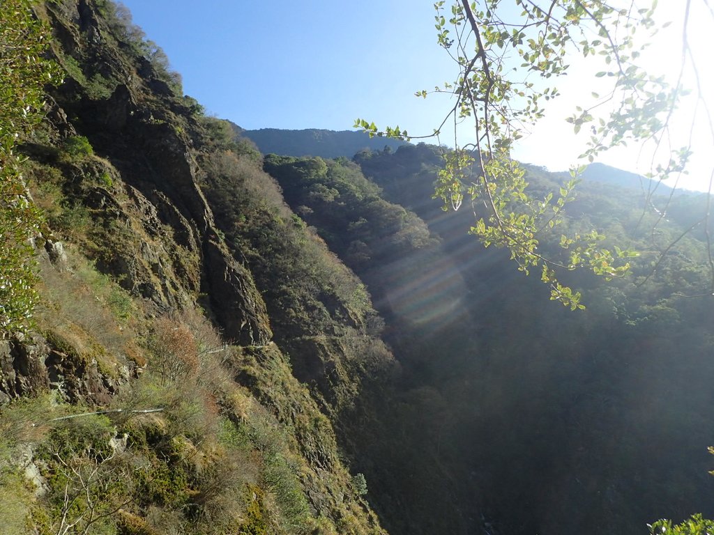 P1022739.JPG - 東埔  八通關古道