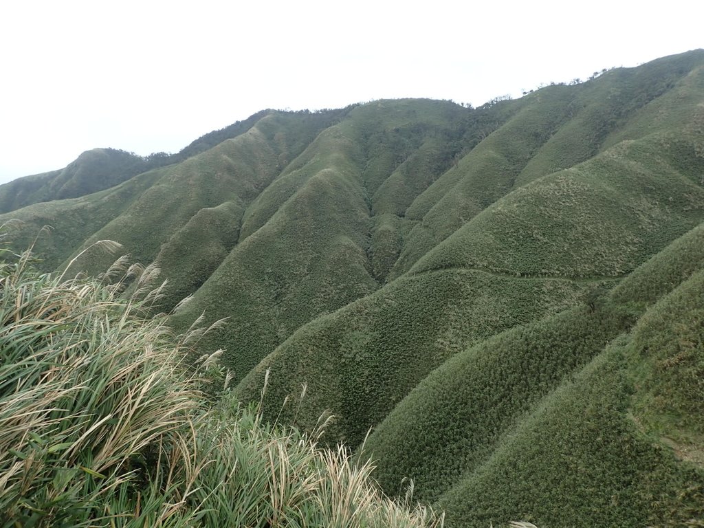 PB159040.JPG - 礁溪  聖母登山步道  (抹茶山)