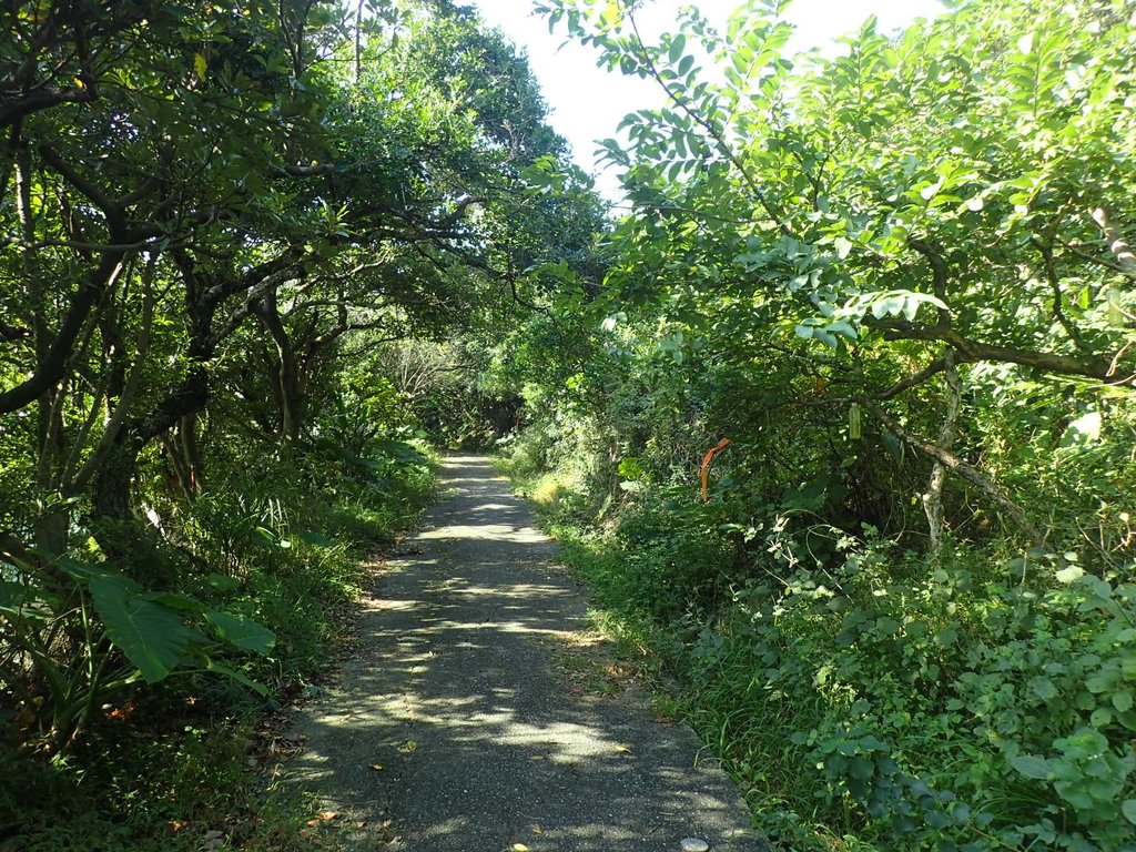 PB179508.JPG - 基隆  球子山(火號山)步道