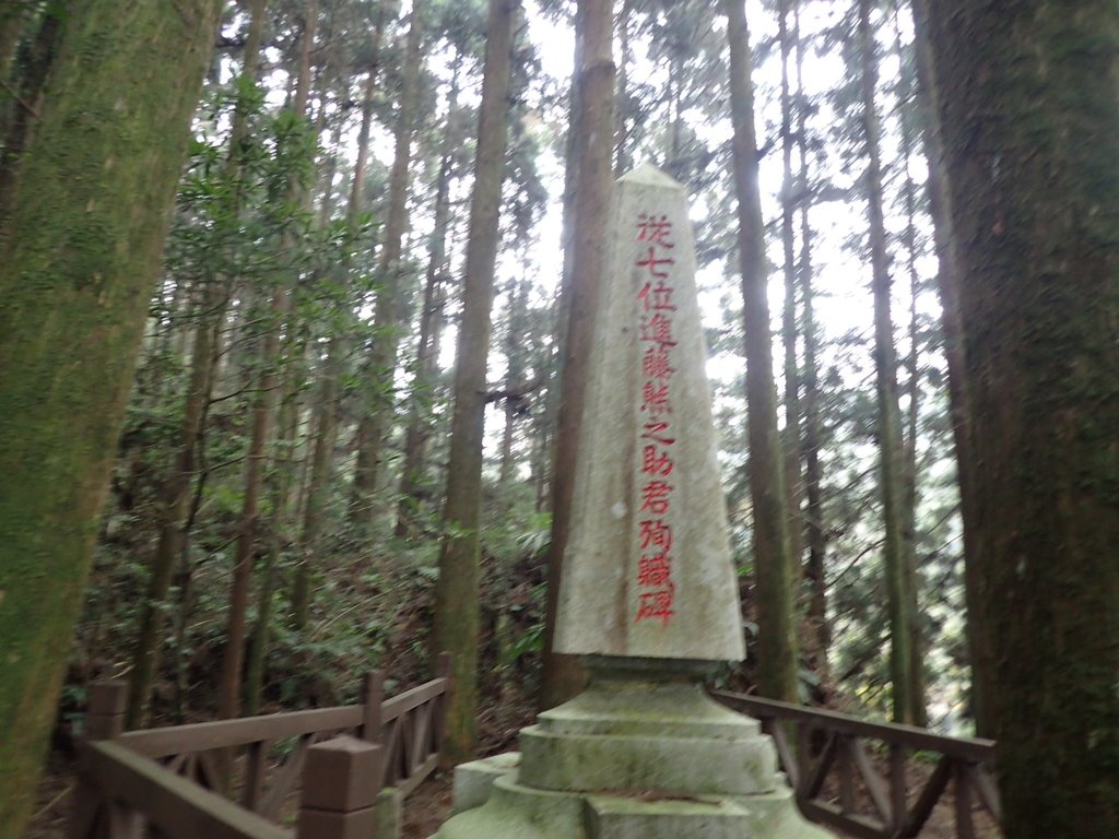 P3257976.JPG - 阿里山  二萬坪步道