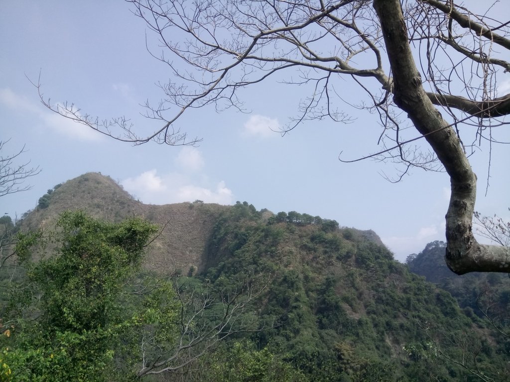 DSC_7301.JPG - 草屯平林  九九峰森林步道