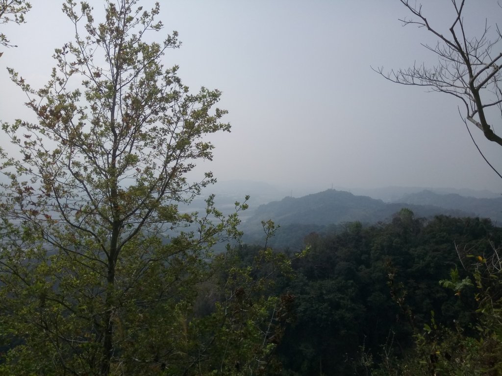 DSC_7349.JPG - 草屯平林  九九峰森林步道