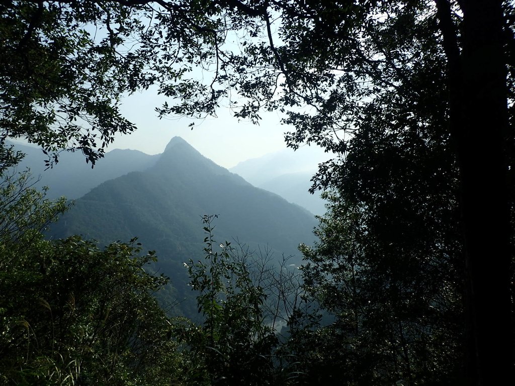 P3217534.JPG - 谷關七雄  白毛山  01