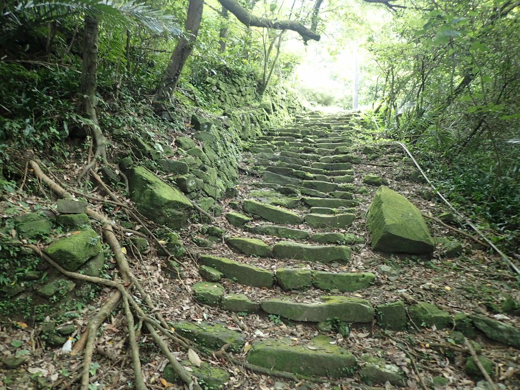 P7062175.JPG - 猴硐  小粗坑古道