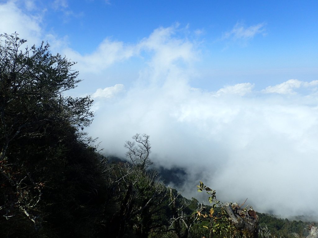 P2034878.JPG - 南庄  加里山