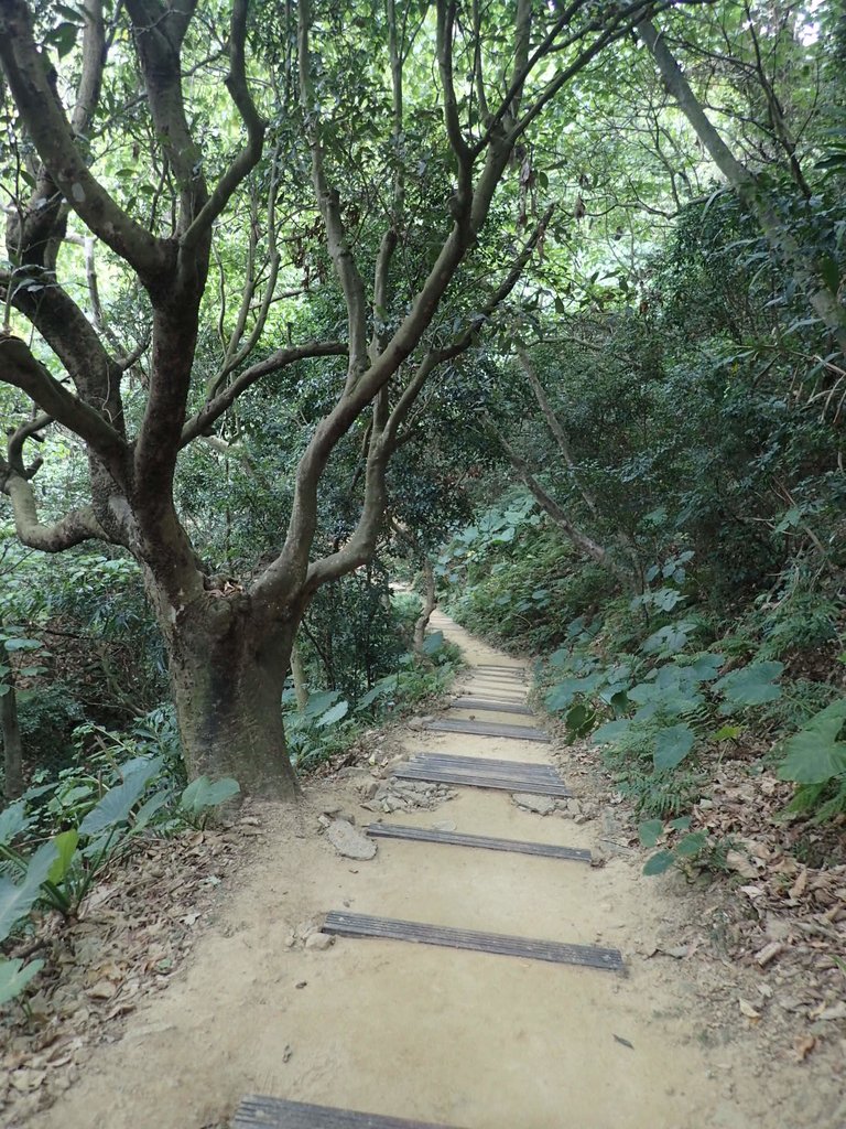 P2095044.JPG - 太平  三汀山  (望高寮)