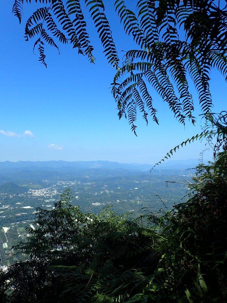 PA040383.JPG - 魚池  過坑山登山步道