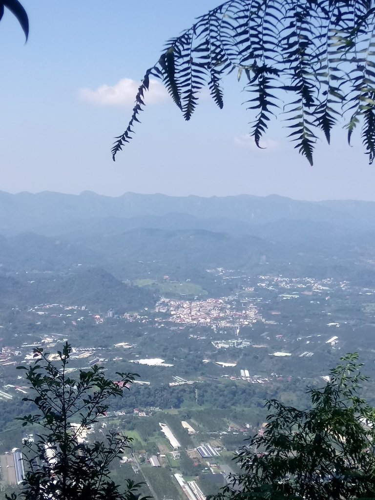 DSC_4042.JPG - 魚池  過坑山登山步道