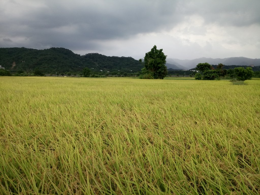 DSC_3107.JPG - 大溪  街路隨拍  (01)