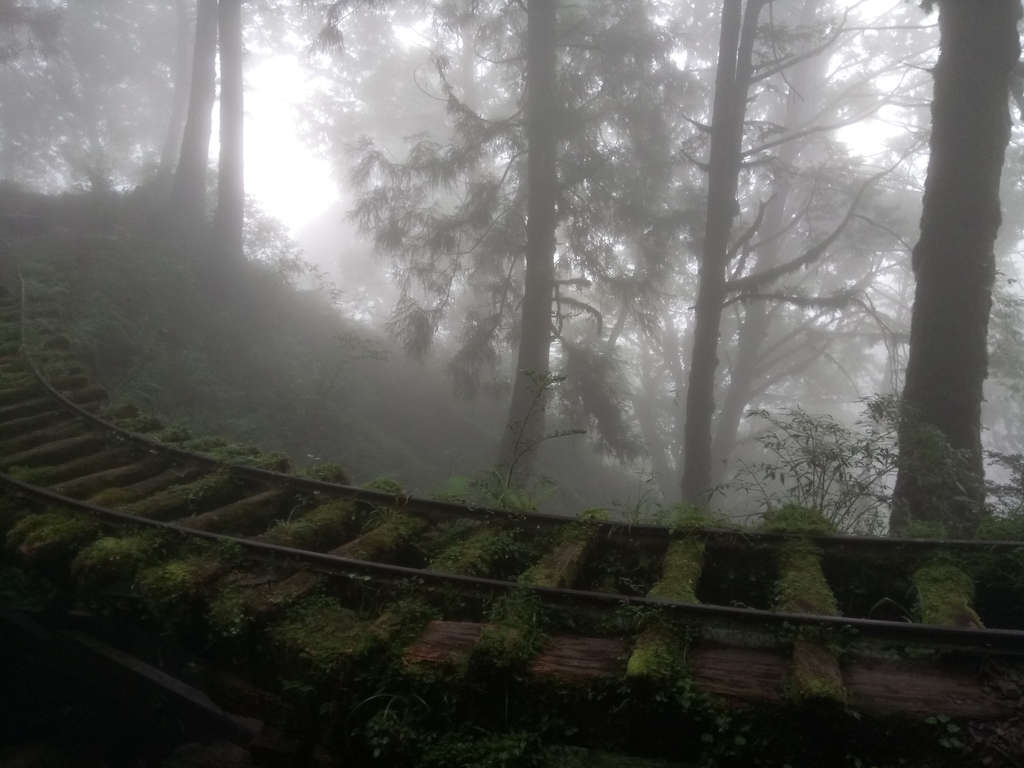 DSC_5619.JPG - 太平山 見晴懷古步道