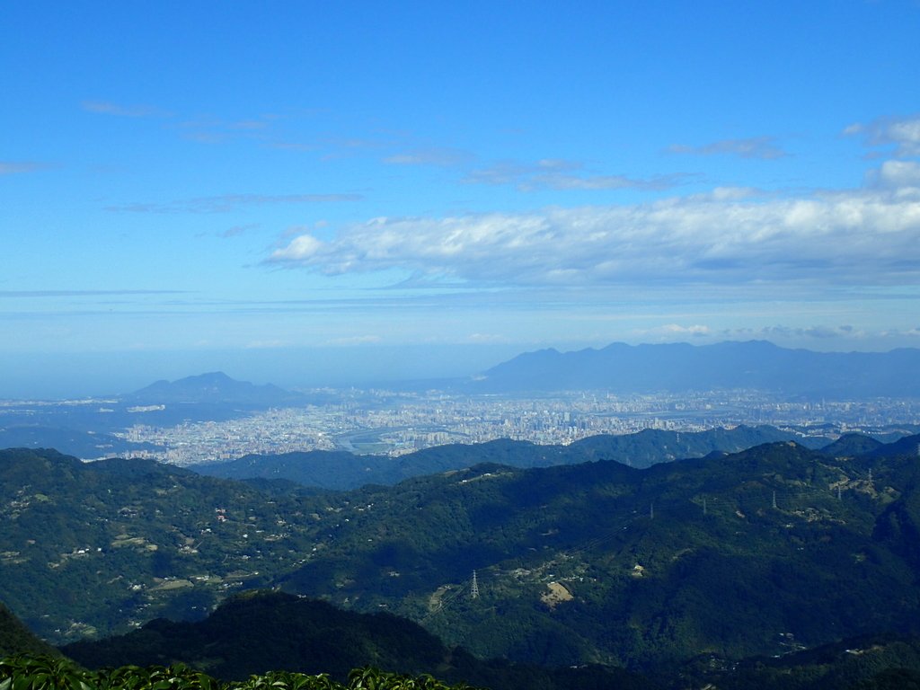 PB257509.JPG - 復興  東眼山森林步道