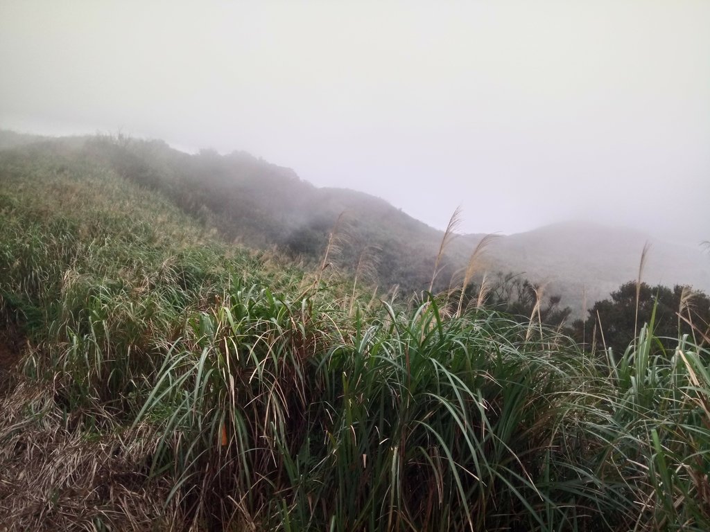 DSC_2864.JPG - 瑞芳  牡丹山