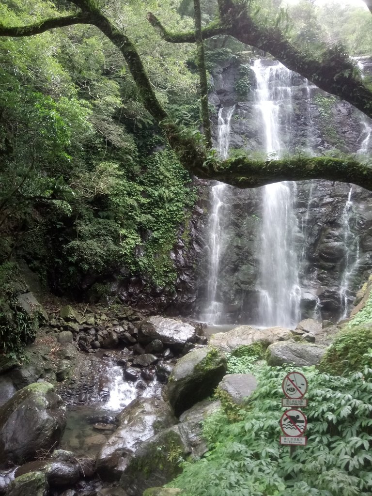 DSC_6131.JPG - 三峽  滿月圓森林遊樂區