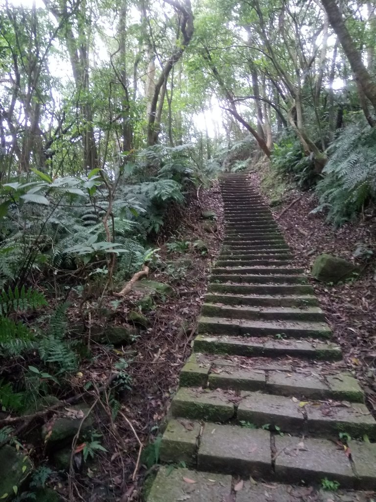 DSC_5849.JPG - 內湖  大崙尾山