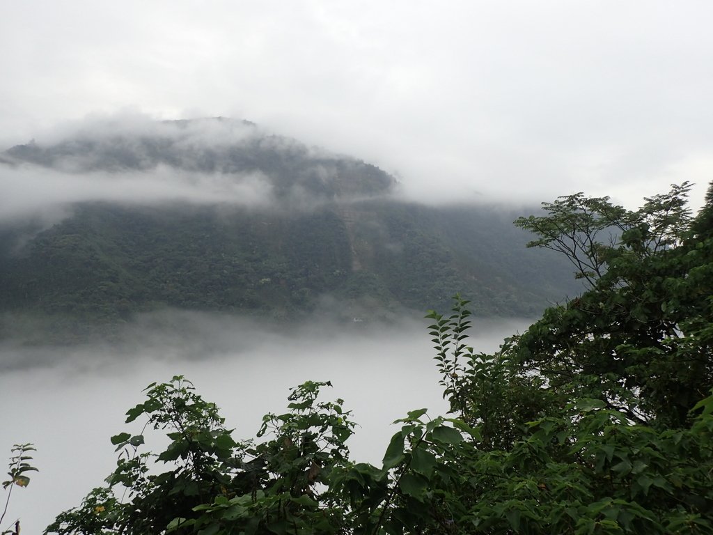 PA231539.JPG - 古坑  草嶺  雲山繚繞