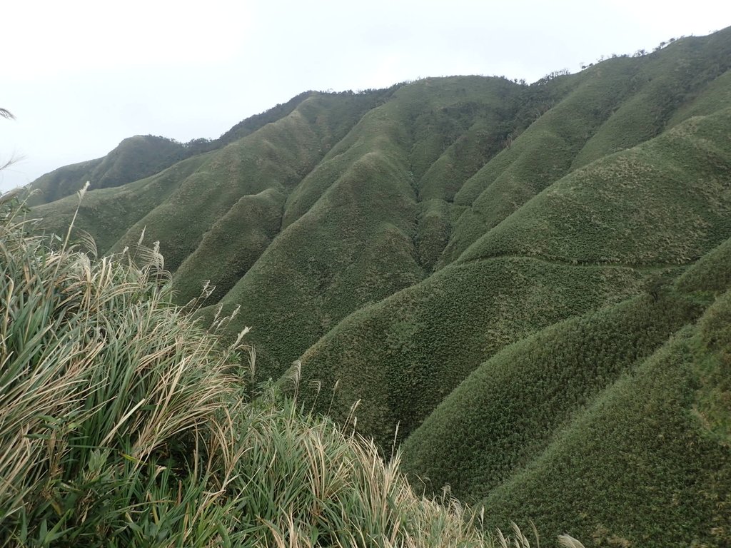 PB159041.JPG - 礁溪  聖母登山步道  (抹茶山)