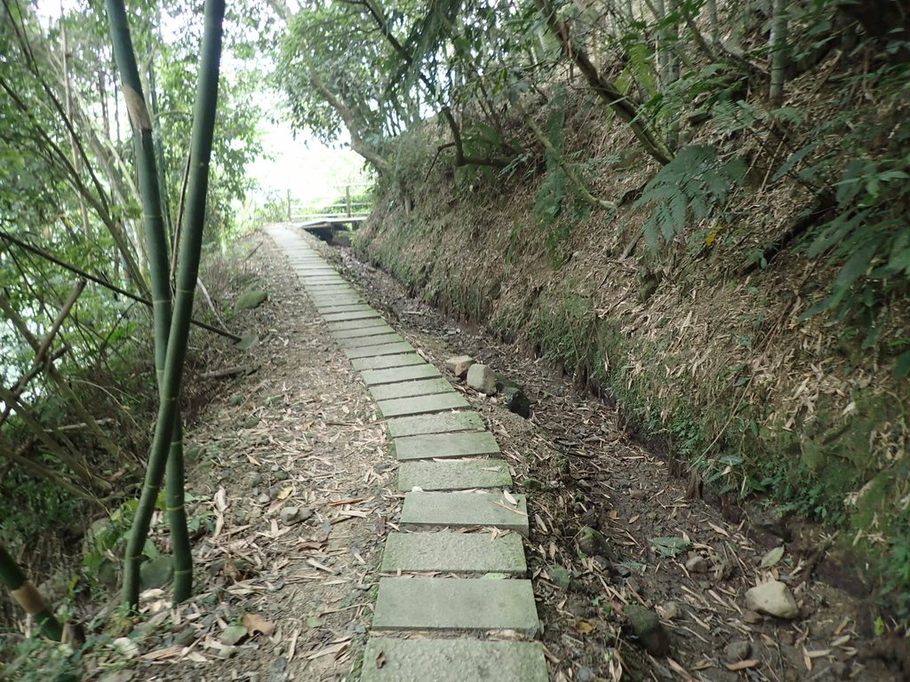 PA171276.JPG - 鹿谷  長源圳古道