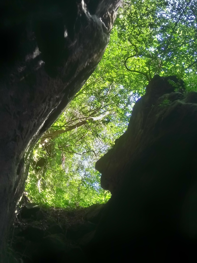 DSC_2171.JPG - 再訪---  平溪  孝子山登山步道