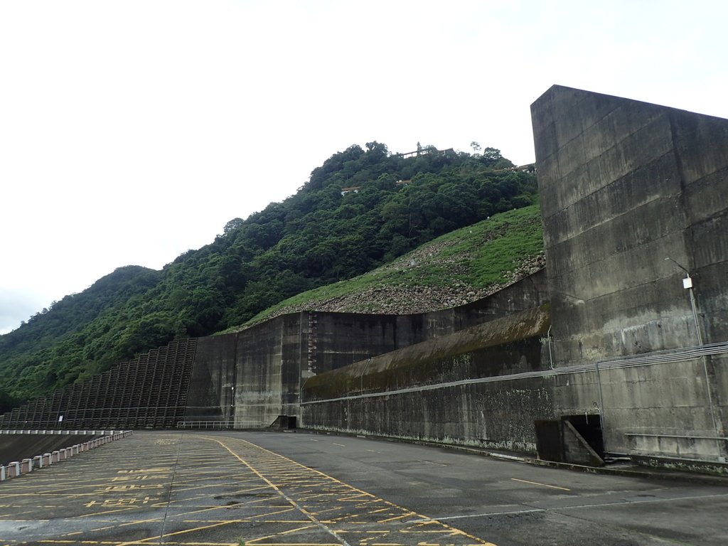 P8247050.JPG - 雨中漫遊  石門水庫