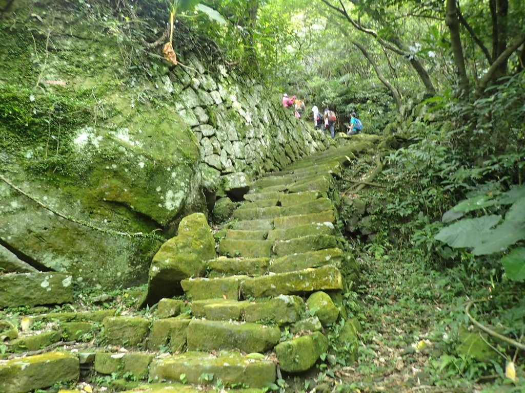 P7062188.JPG - 猴硐  小粗坑古道