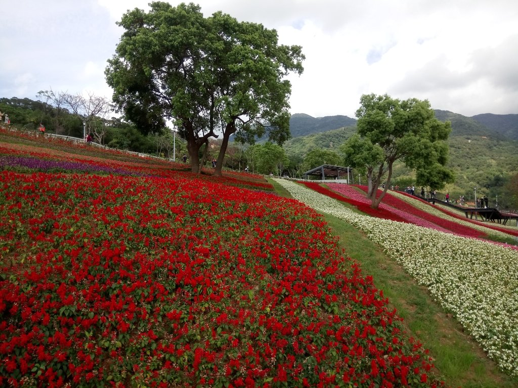 DSC_5459.JPG - 北投社  三層崎公園