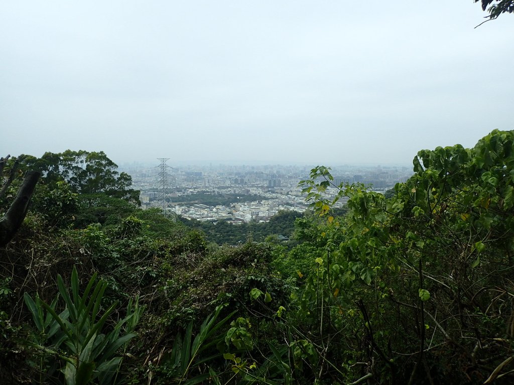 P2095046.JPG - 太平  三汀山  (望高寮)