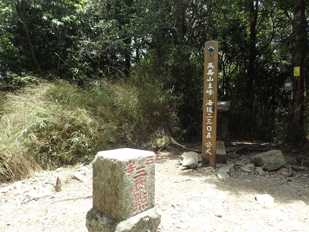 P6054103.JPG - 谷關七雄之  馬崙山  (上)