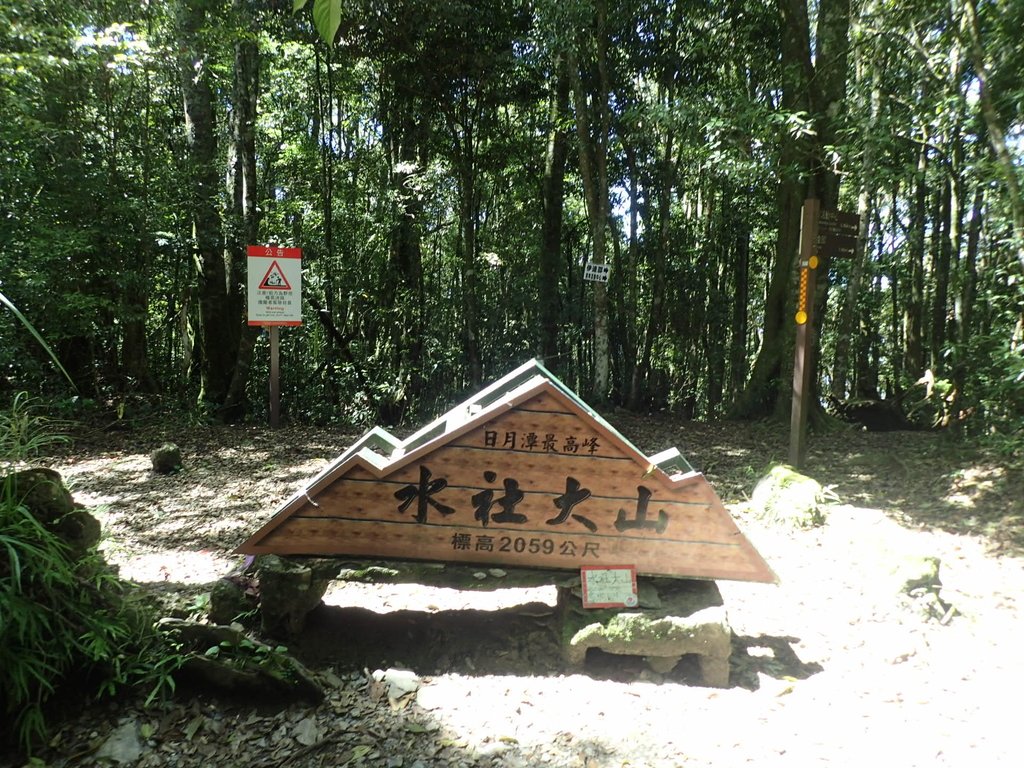 P7105179.JPG - 魚池  水社大山