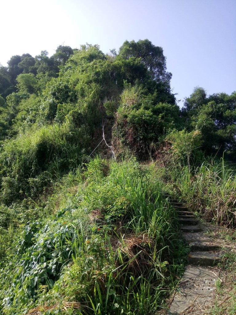 DSC_2077.JPG - 大社  觀音山步道