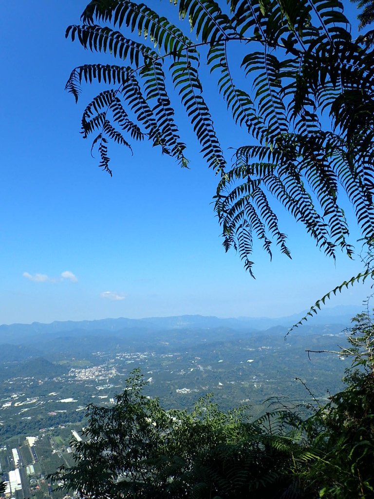 PA040389.JPG - 魚池  過坑山登山步道