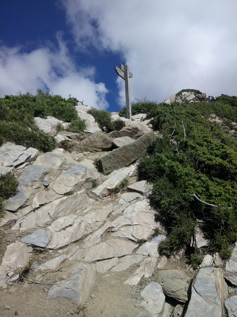 DSC_5347.JPG - 合歡山  北峰之美  (上)