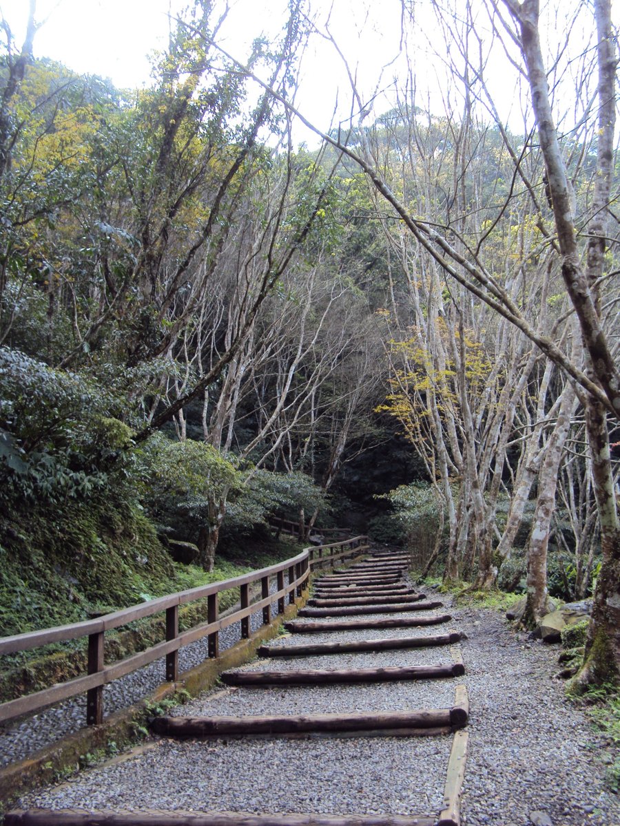 DSC04452.JPG - 三峽  滿月圓遊樂區