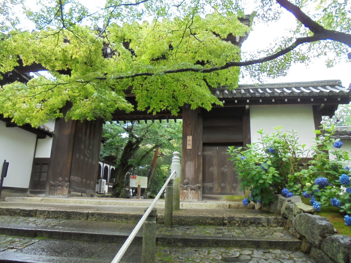 DSC04057.JPG - 京都  華頂山  知恩院