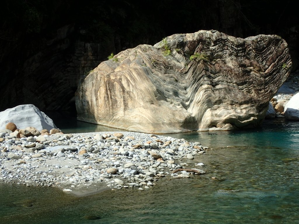 P8120302.JPG - 花蓮  秀林  砂卡噹步道