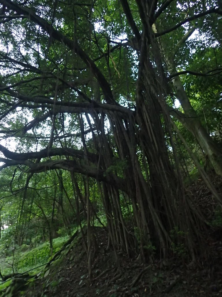 PC018114.JPG - 大直  正願禪寺