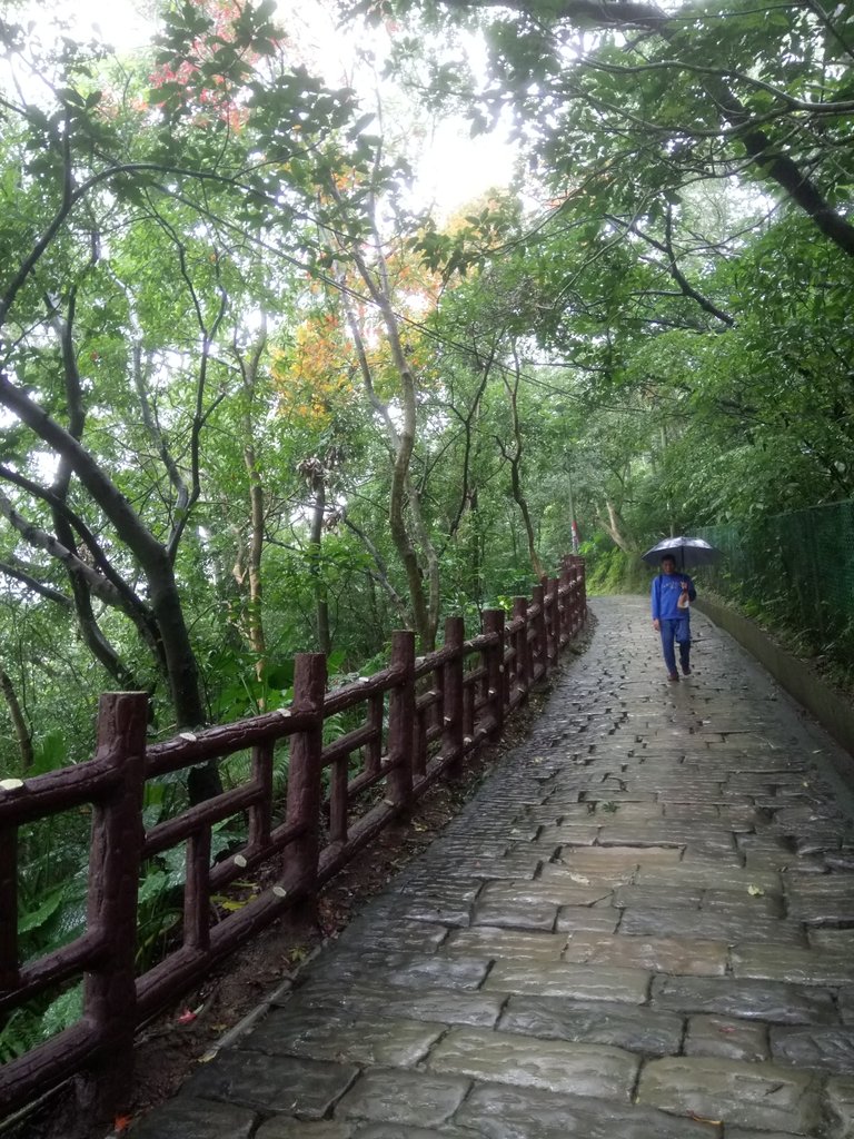 DSC_1705.JPG - 土城  承天寺  朝山步道