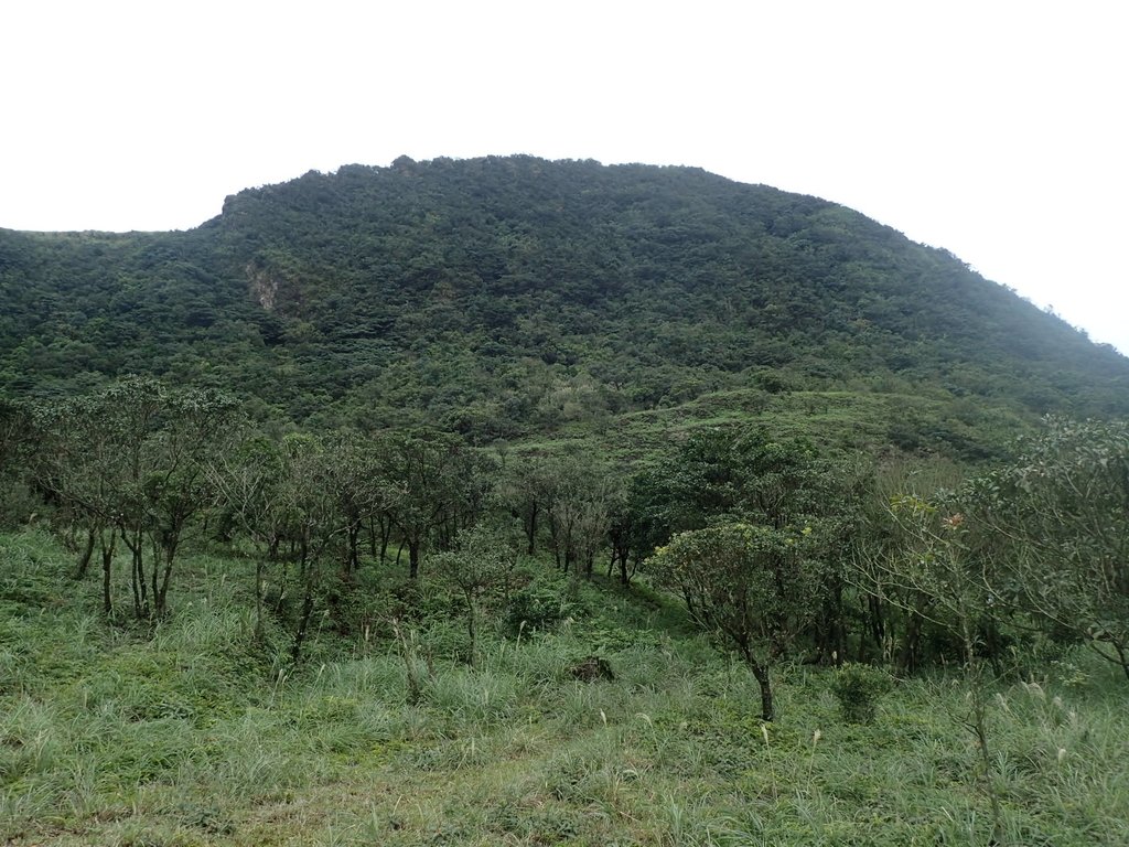 P1274356.JPG - 瑞芳  燦光寮古道初探